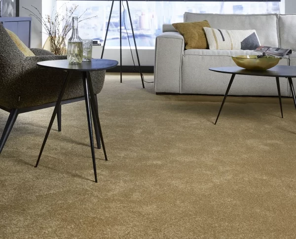Castille Elite Collection