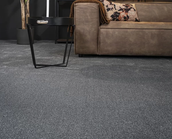 Mayfair Collection